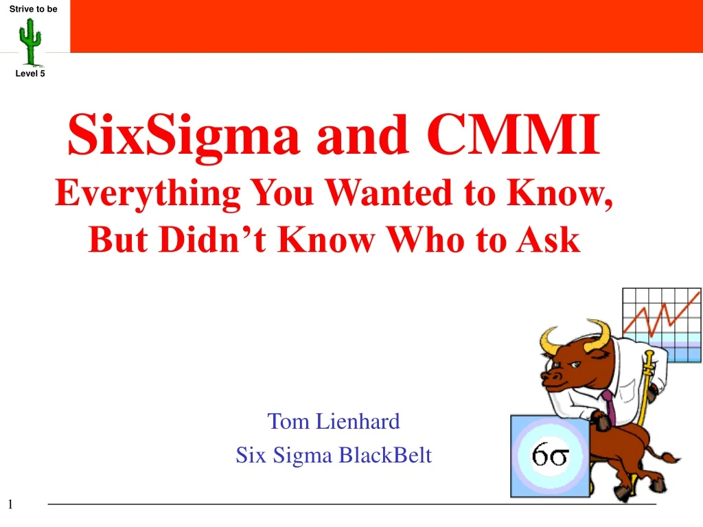 sixsigma and cmmi everything you wanted to know