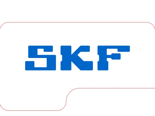 The SKF Group