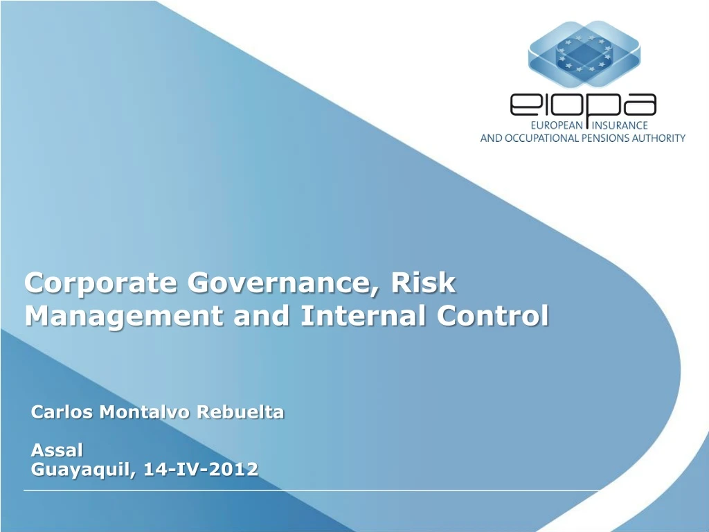 corporate governance risk management and internal control