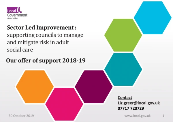 Sector Led Improvement : supporting councils to manage and mitigate risk in adult social care