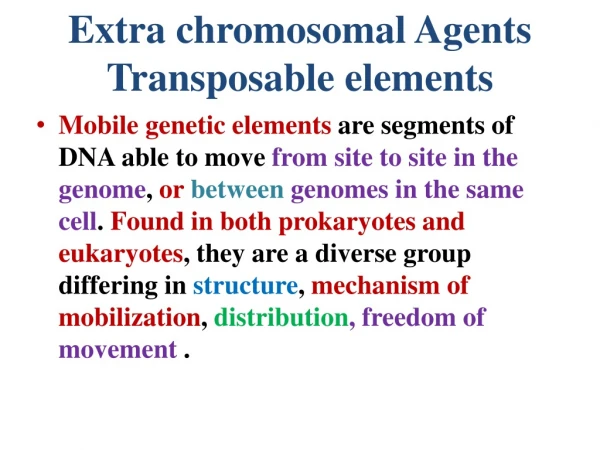 Extra chromosomal Agents Transposable elements