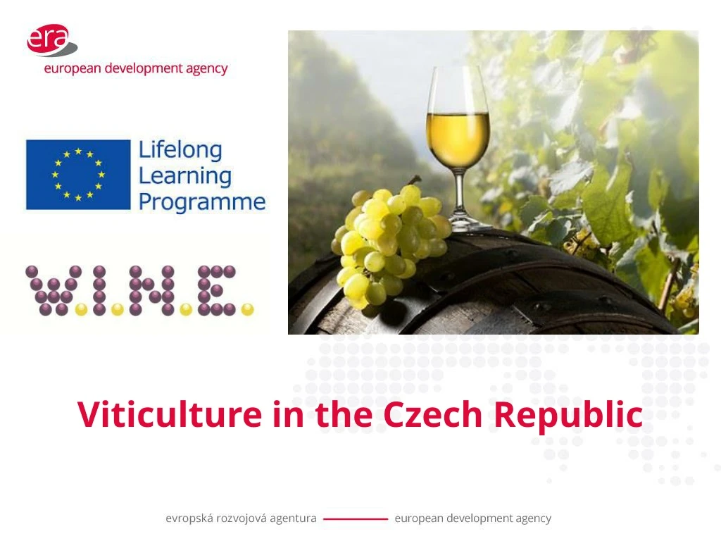 viticulture in the czech republic