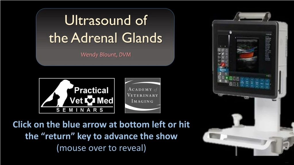 ultrasound of the adrenal glands