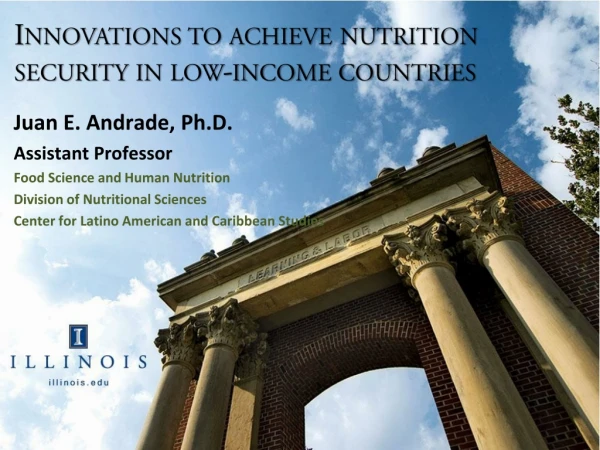 Innovations to achieve nutrition security in low-income countries