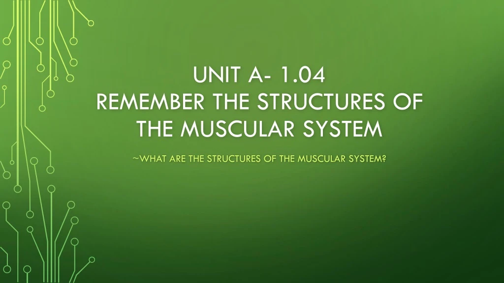 unit a 1 04 remember the structures of the muscular system