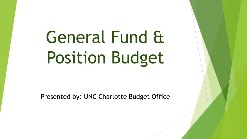 general fund position budget