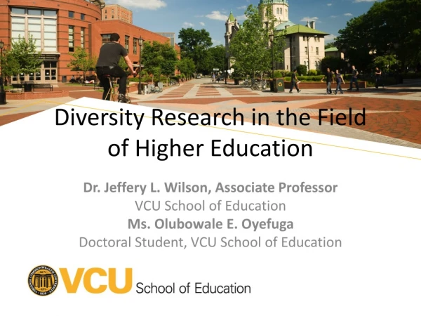 Diversity Research in the Field of Higher Education