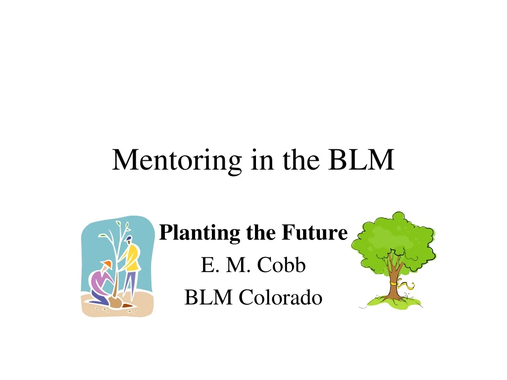 mentoring in the blm