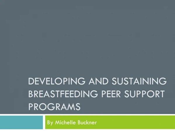Developing and Sustaining Breastfeeding Peer Support Programs