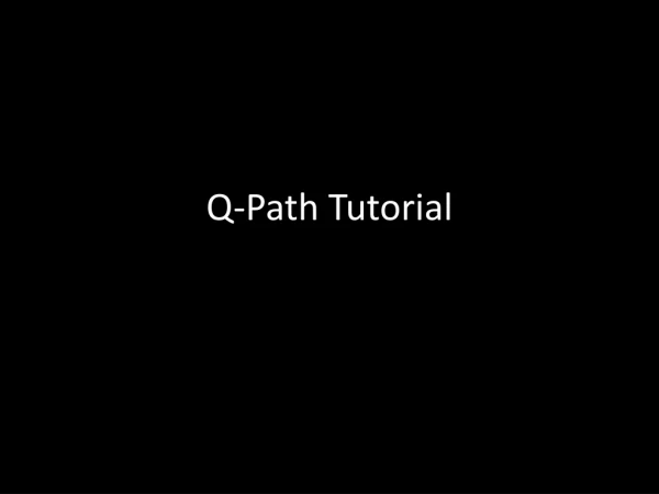 Q-Path Tutorial
