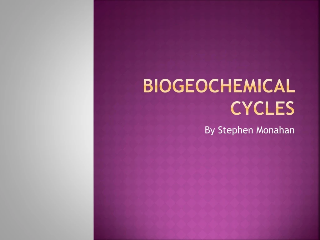 biogeochemical cycles