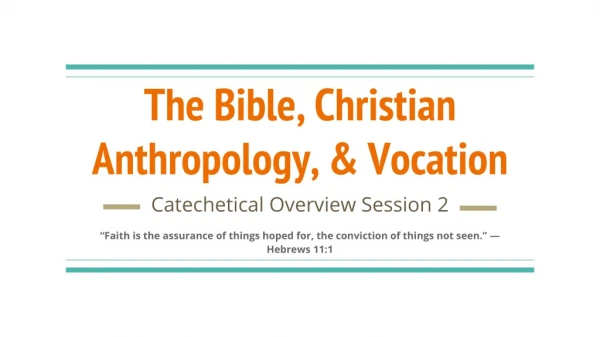 The Bible, Christian Anthropology, &amp; Vocation