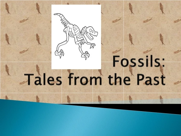 Fossils: Tales from the Past