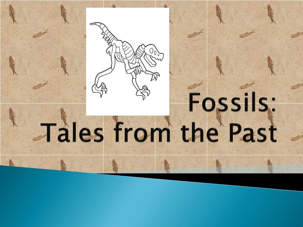 fossils tales from the past