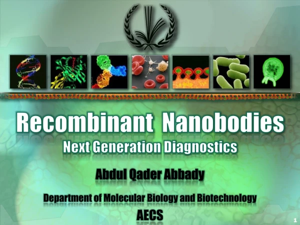 Recombinant Nanobodies Next Generation Diagnostics
