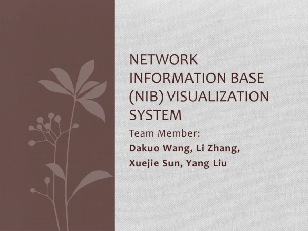 Network Information Base (NIB) visualization system