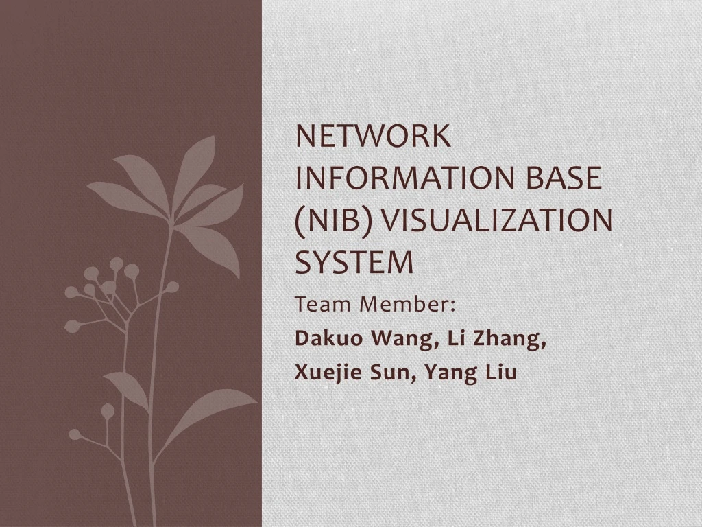 network information base nib visualization system