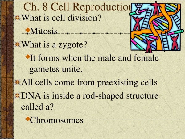Ch. 8 Cell Reproduction