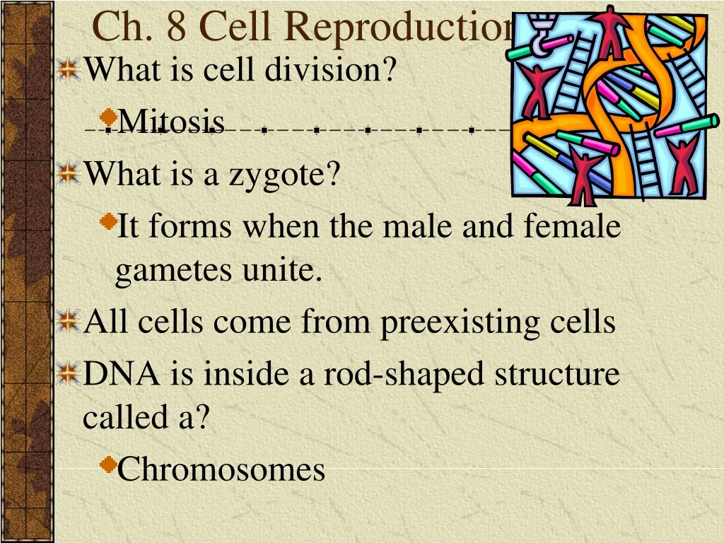 ch 8 cell reproduction