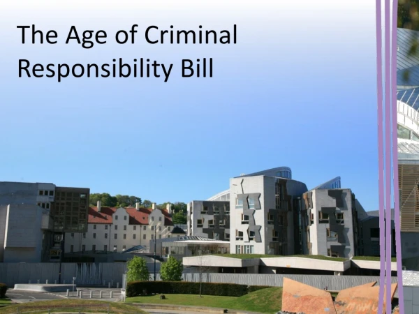 The Age of Criminal Responsibility Bill