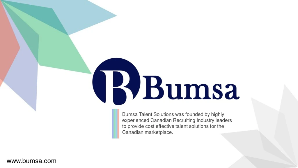 bumsa talent solutions was founded by highly