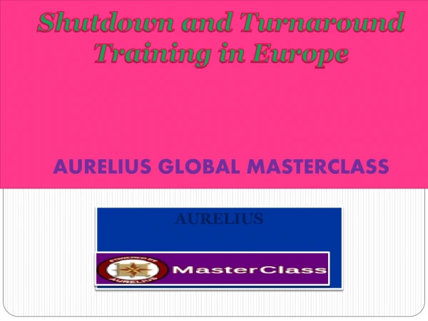 Shutdown and Turnaround Training In Europe