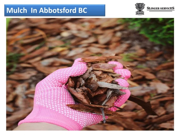 mulch in abbotsford bc