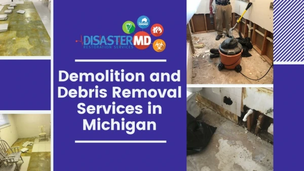 Waste Cleanup Services | Debris Removal