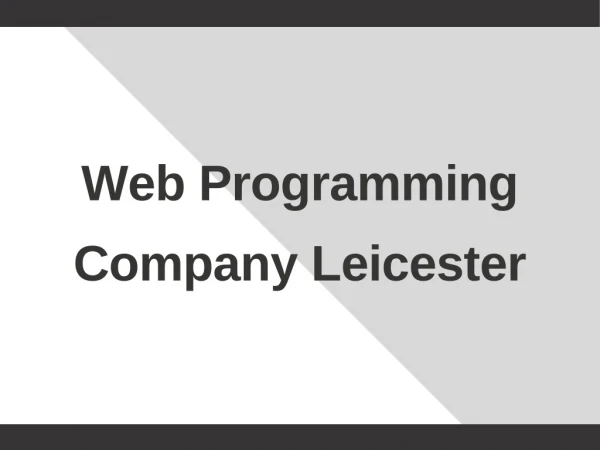 Web Programming Company Leicester