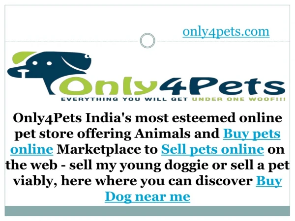 Buy Dog and Sell Dog