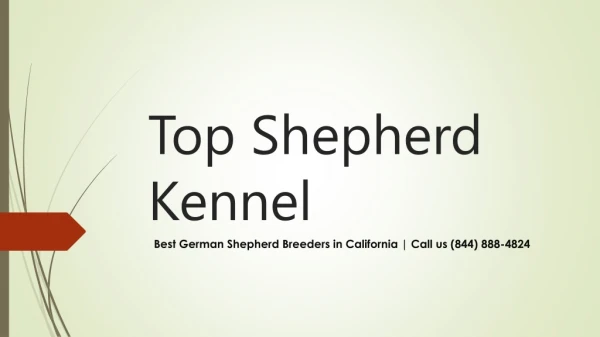Buy Trained German Shepherd for Sale in California