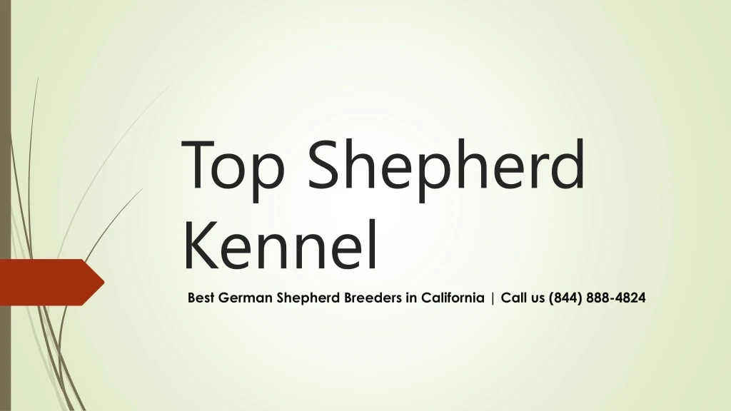 top shepherd kennel