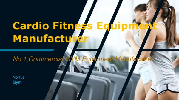 Cardio Fitness Equipment Manufacturer in Delhi