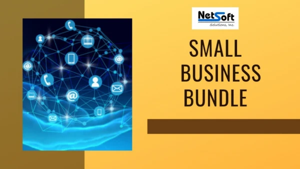 NetSoft Solutions: Small Business Bundle