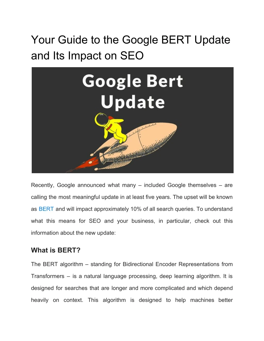 your guide to the google bert update