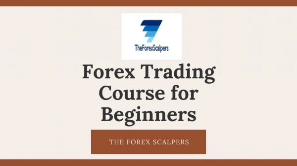 Basics of Forex Trading for Beginners - The Forex Scalpers