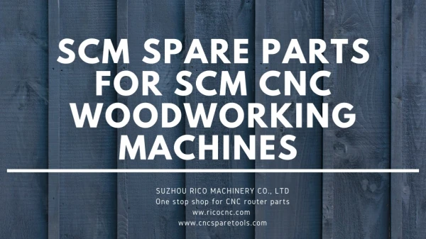 SCM pare parts for SCM woodworking machinery