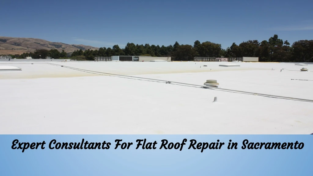 expert consultants for flat roof repair