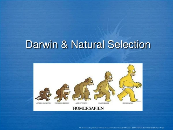 Darwin &amp; Natural Selection
