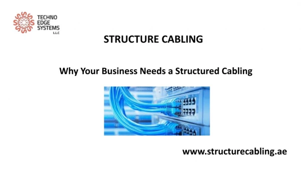 Why Your Business Needs a Structured Cabling