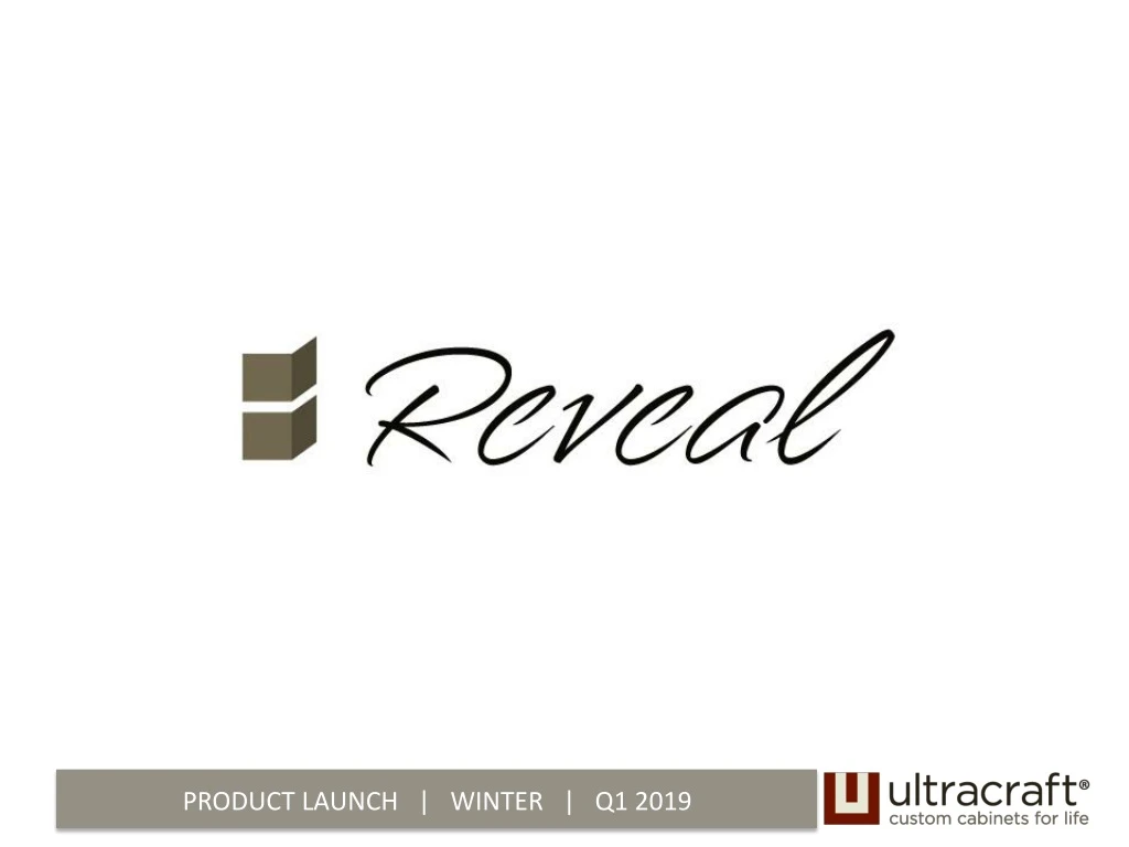 product launch winter q1 2019