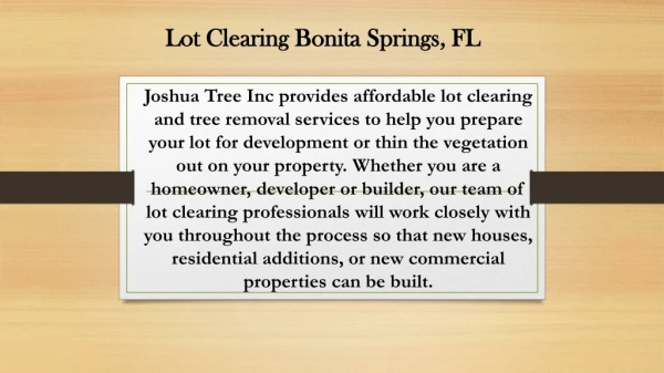 Lot Clearing Bonita Springs, FL