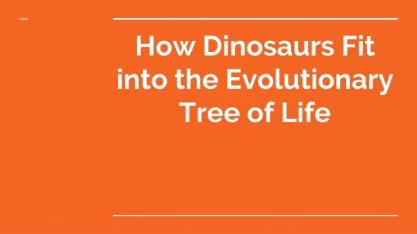 How Dinosaurs Fit into the Evolutionary Tree of Life