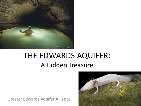 THE EDWARDS AQUIFER: A Hidden Treasure