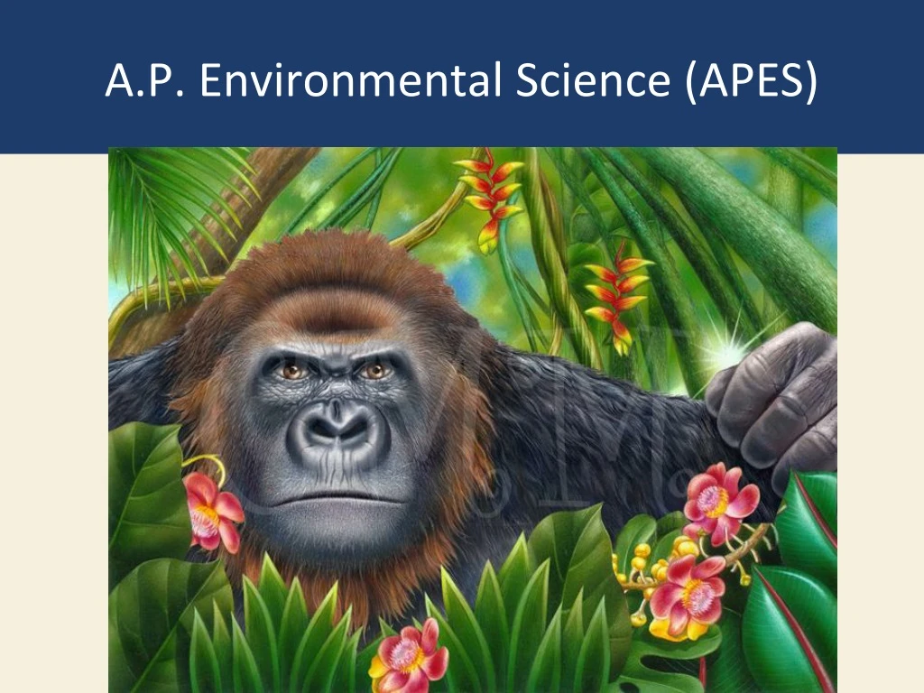 a p environmental science apes