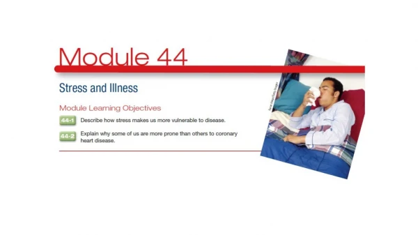 44.1 – Describe how stress makes us more vulnerable to disease .