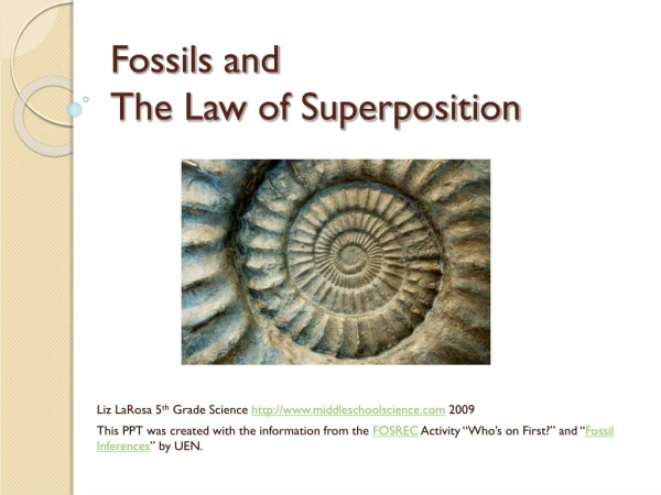 Fossils and The Law of Superposition