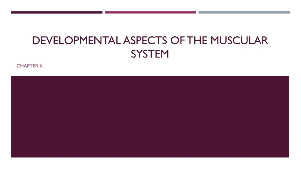 developmental aspects of the muscular system