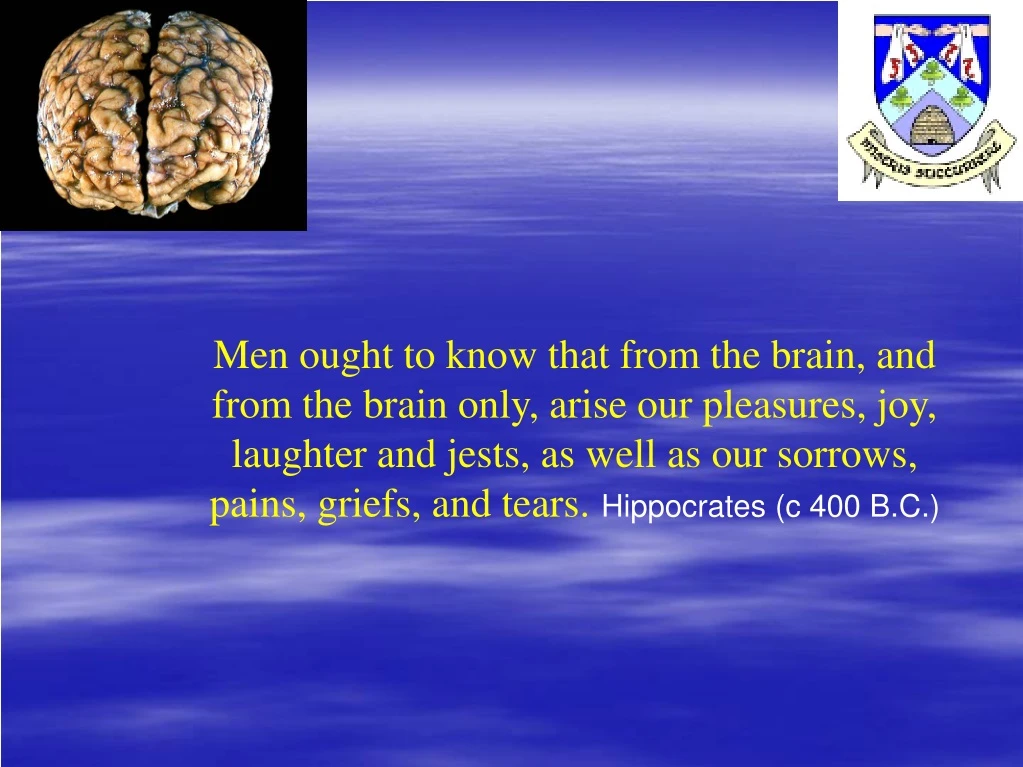 men ought to know that from the brain and from