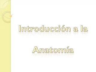 Introducci n a la Anatom a - slide 1